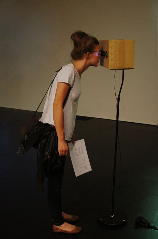 Stereostereoscope 2011  digital video, cardboard, lenses, speakers. 155x40x32cm. 8 minutes 